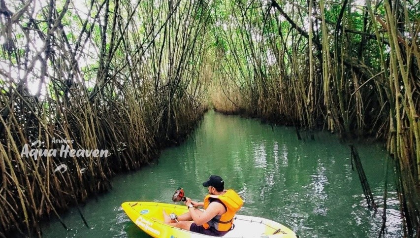 Kayaking in Sindhudurg Malvan